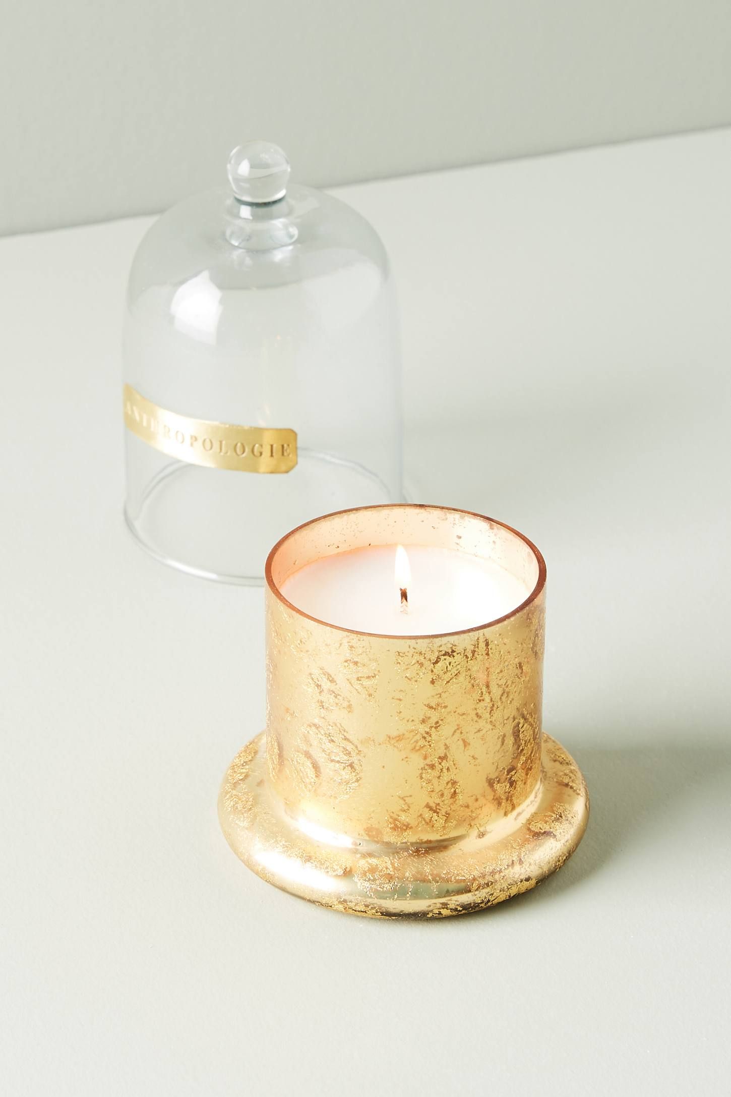 Siberian Fir Cloche + Candle | Anthropologie (US)