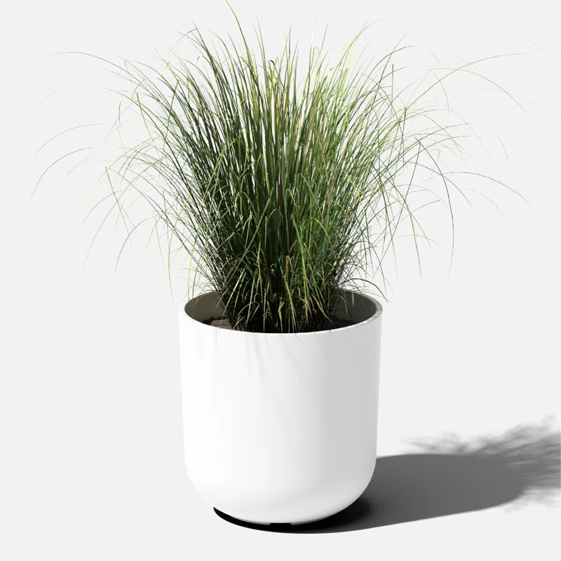 Pure Series Planter | Wayfair North America