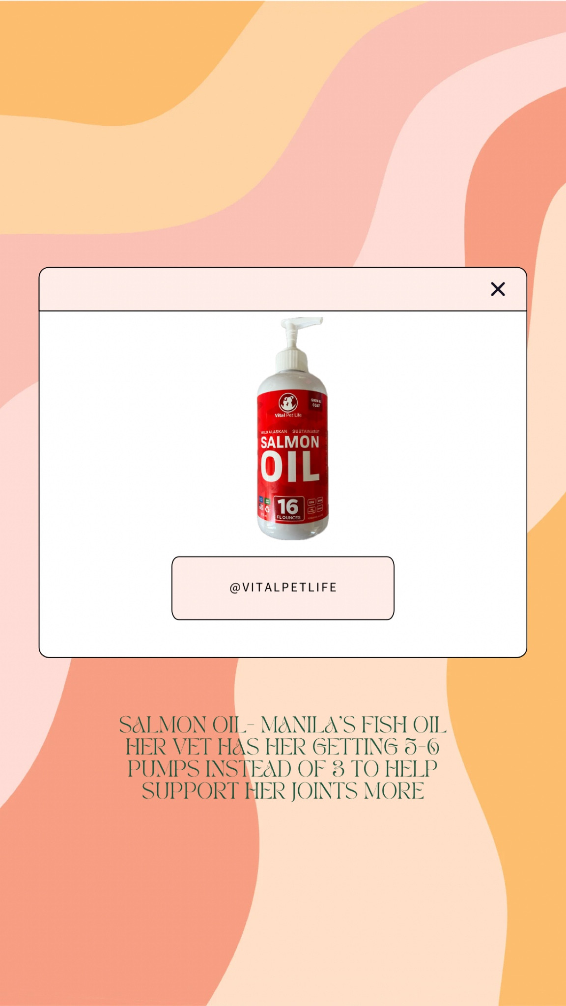 Best salmon oil for your pup! Best for dogs joints, skin, fur

#LTKhome #LTKfindsunder50 #LTKfamily