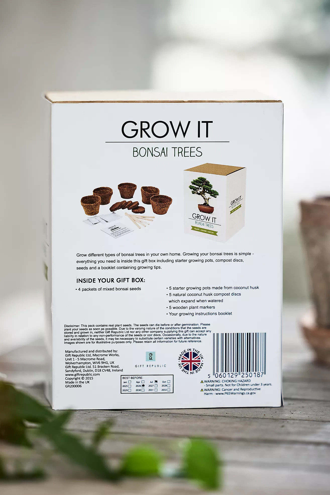 Bonsai Trees Grow Kit | Terrain