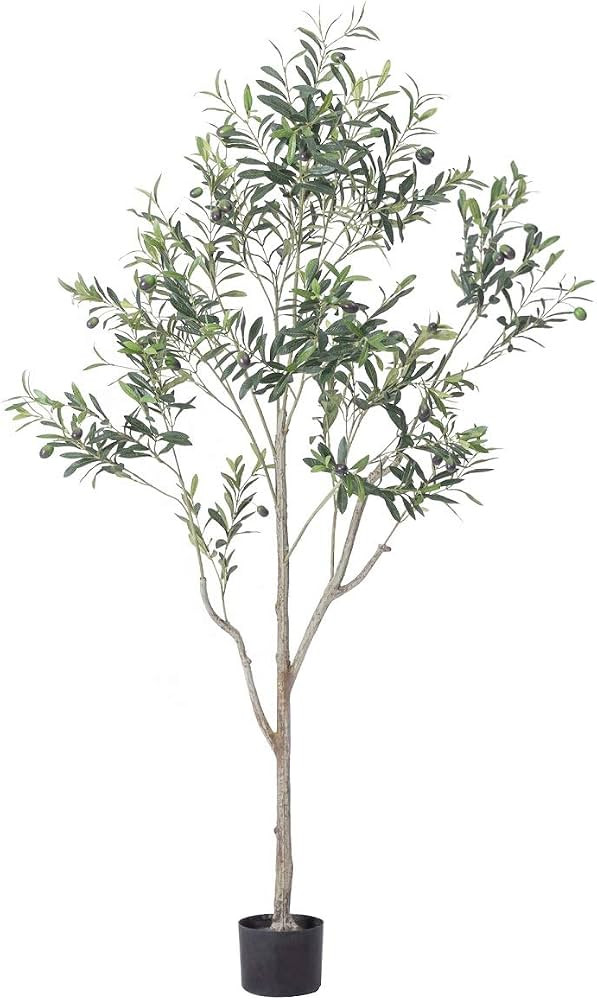 Bluecho - Árbol de olivo de seda artificial en macetero, 6 pies de alto, para decoración inter... | Amazon (US)