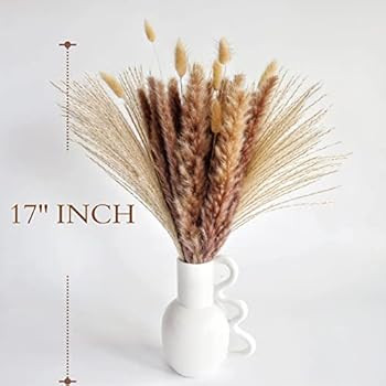Natural Dried Pampas Grass Decor, Brown Pampas Grass， Bunny Tails Dried Flowers, Reed Grass Bou... | Amazon (US)
