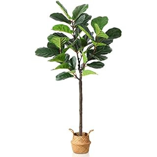 OAKRED Artificial Fiddle Leaf Fig Tree,5FT Tall Faux Plants Artificial Ficus Lyrata Plant for Ind... | Amazon (CA)