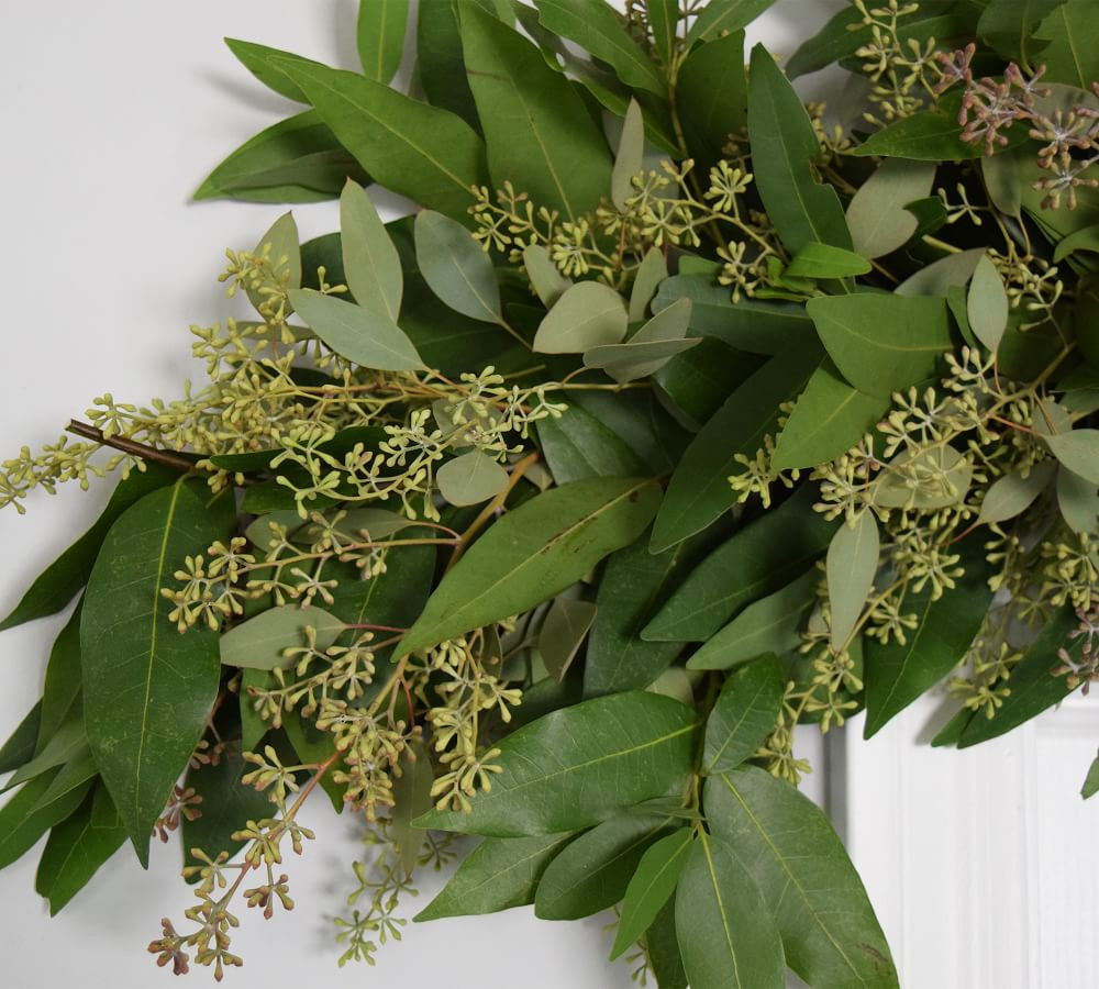 Fresh Bay Leaf & Seeded Eucalyptus Garland | Pottery Barn (US)