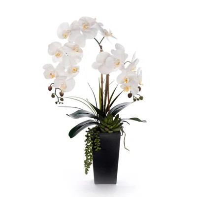 Real Touch White Orchid Flower Arrangement in Black Pot | Wayfair North America