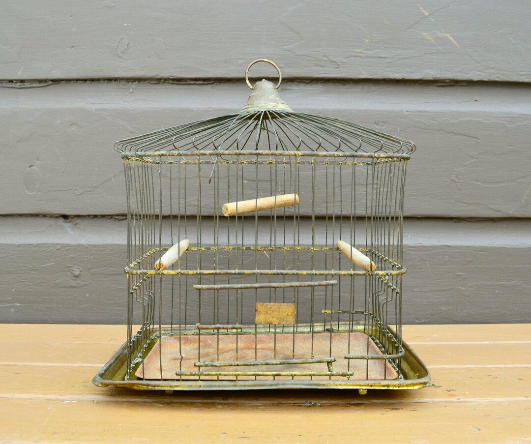 Victorian Metal Birdcage, Green Wire Bird Cage, Wire Decorative Cage | Etsy (US)