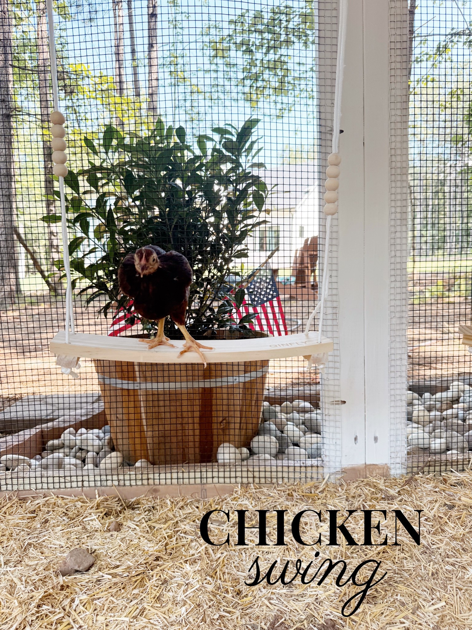 Who says swings are just for kids? 🐔✨ We added this adorable $9 rope swing to our chicken run and it’s the cutest little touch for our feathered crew. Perfect for a playful upgrade or just a whimsical moment in your coop life. 🪢🐓 #porcheandco #chickencoopstyle #amazonfinds #backyardchickens #ltkhome #ltkanimalstyle #budgetfriendlyfinds #countryliving #cooplove #carolinacoops


#LTKFamily #LTKPets #LTKSaleAlert