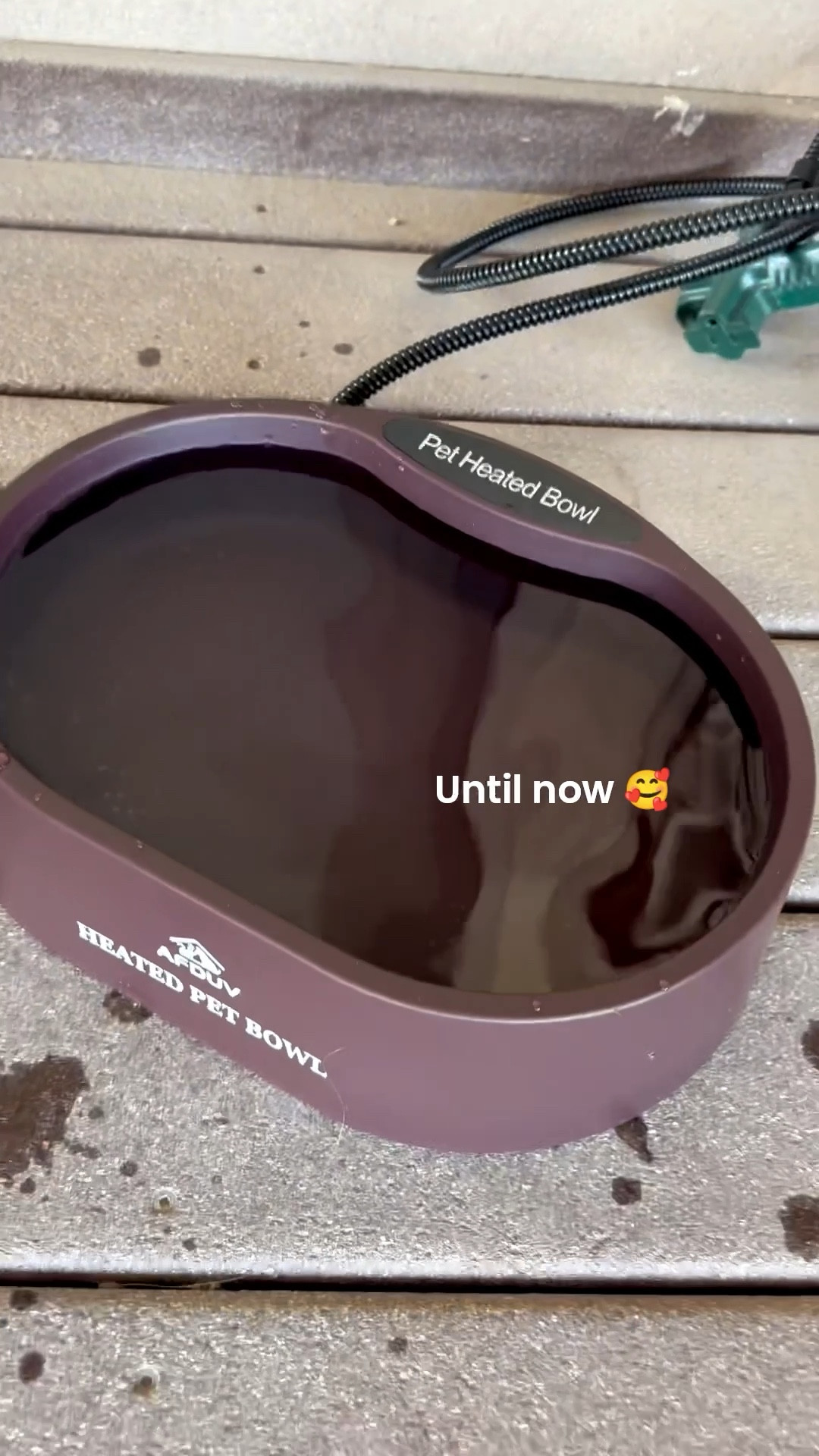 The “line for water” era is over. New heated bowl = everyone finally gets their moment. 🐶🐾 Turn chaos into calm. Tap to grab the heated bowl! 💞

#LTKGiftGuide #LTKHome #LTKSaleAlert