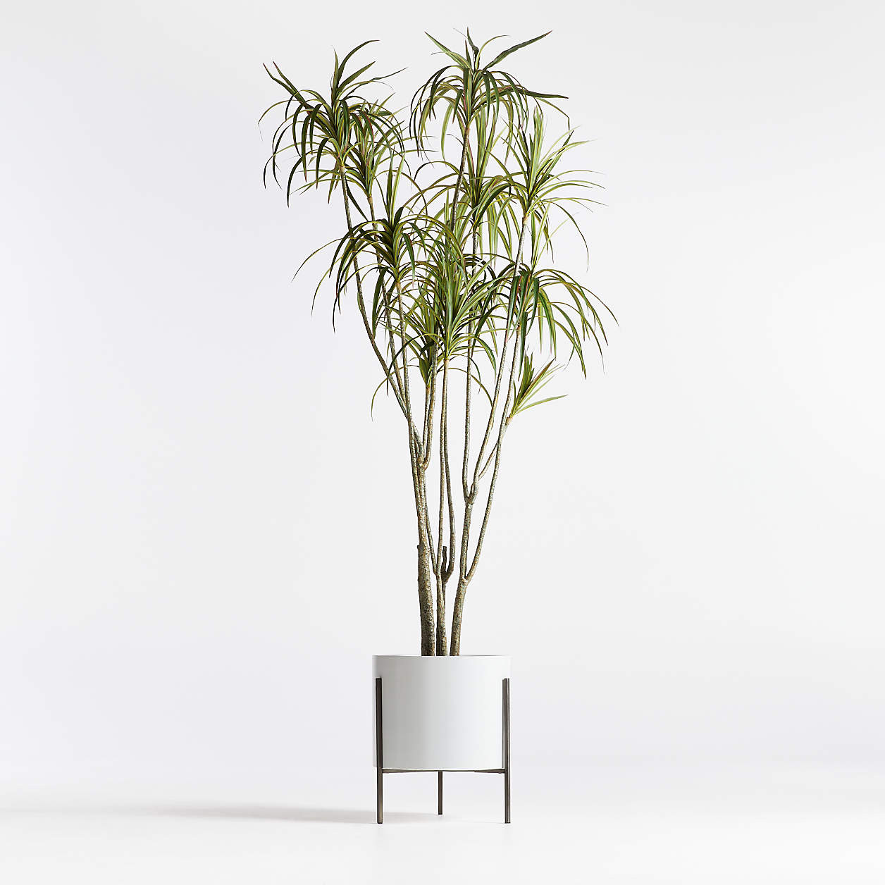 Potted Faux Dracaena 6.5' | Crate & Barrel | Crate & Barrel