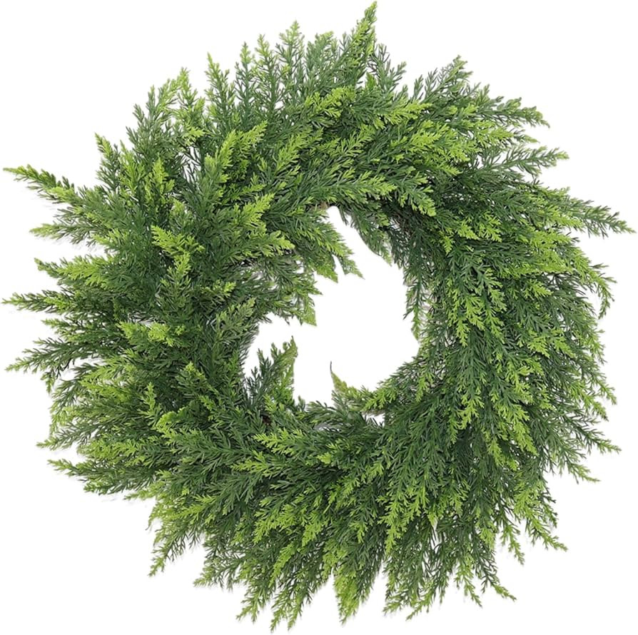 22 Inch Green Faux Norfolk Cedar Christmas Wreaths for Front Door,Real Touch Artificial Winter Wr... | Amazon (US)