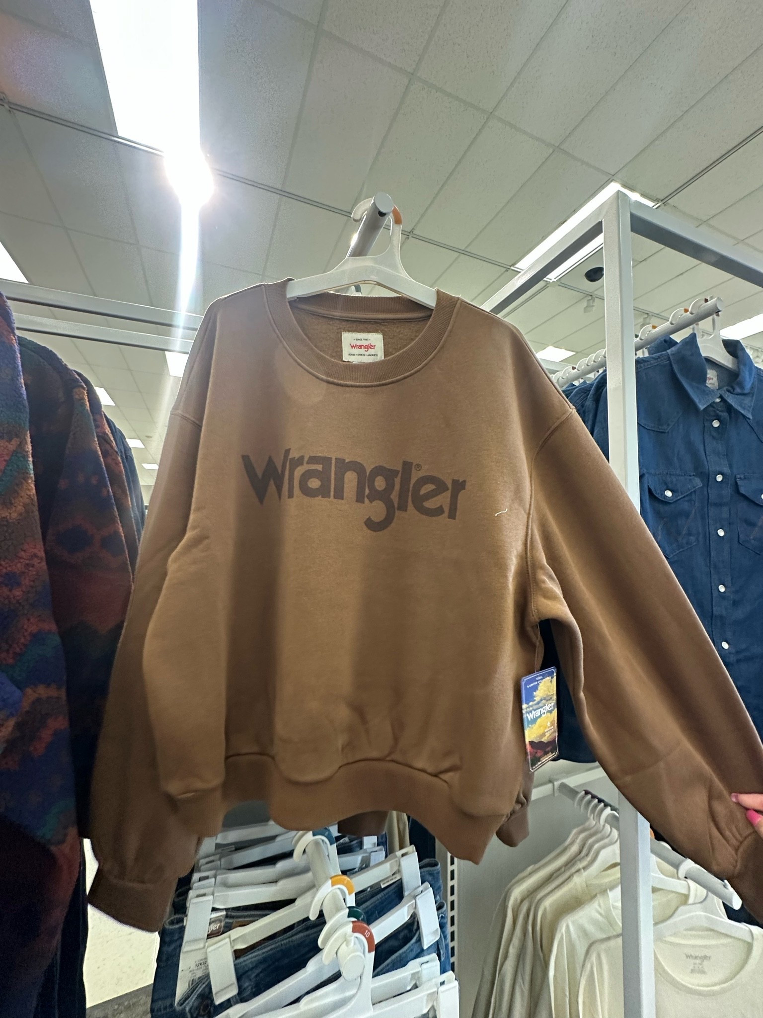 Love this brown wrangler crewneck from the wrangler c target collab! Priced at $40 & ranges from sizes XS-4X! So comfy, cute, soft, & a fall staple!

#LTKMidsize #LTKPetite #LTKPlusSize