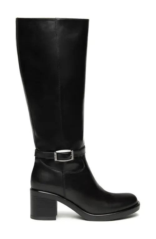 NeroGiardini Tall Buckle Boot in Black at Nordstrom, Size 11Us | Nordstrom
