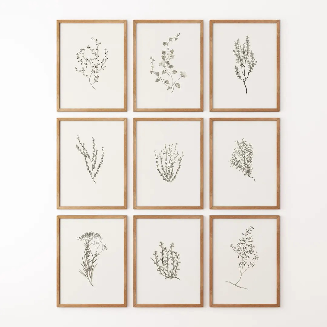 Set of 9 Prints, Vintage Botanical, Rustic Home Decor, Living Room Wall Art, Dried Plants Flowers... | Etsy (US)