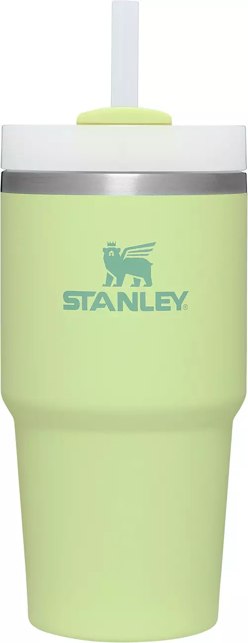 Stanley 20 oz. Quencher H2.0 FlowState Tumbler | Dick's Sporting Goods
