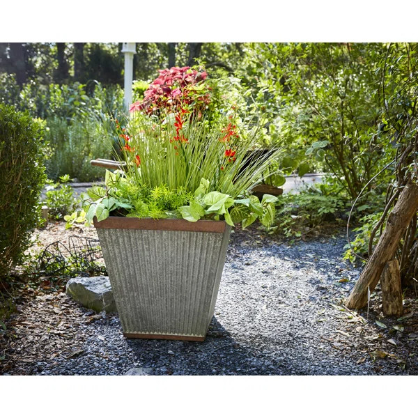 Westbury Resin Pot Planter | Wayfair North America