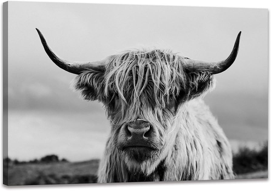 Highland Cow Wall Art Canvas Printings Black and White Animal Canvas Picture Framed Art Wall Deco... | Amazon (US)