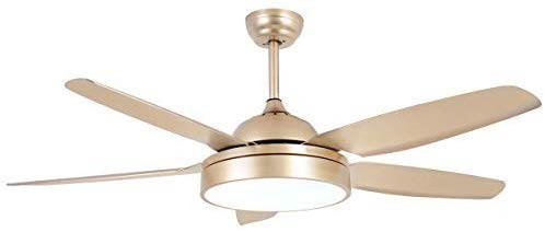 Ceiling Fan Chandelier with LED Light and 5 Blades Champagne Remote Control for Home Decoration L... | Amazon (US)