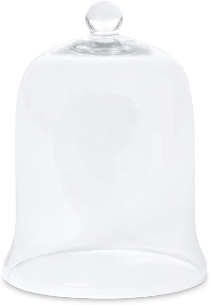 Glass Cloche Bell Jar - Plant Terrarium - Centerpiece Dome Display (12.5" x 9") | Amazon (US)