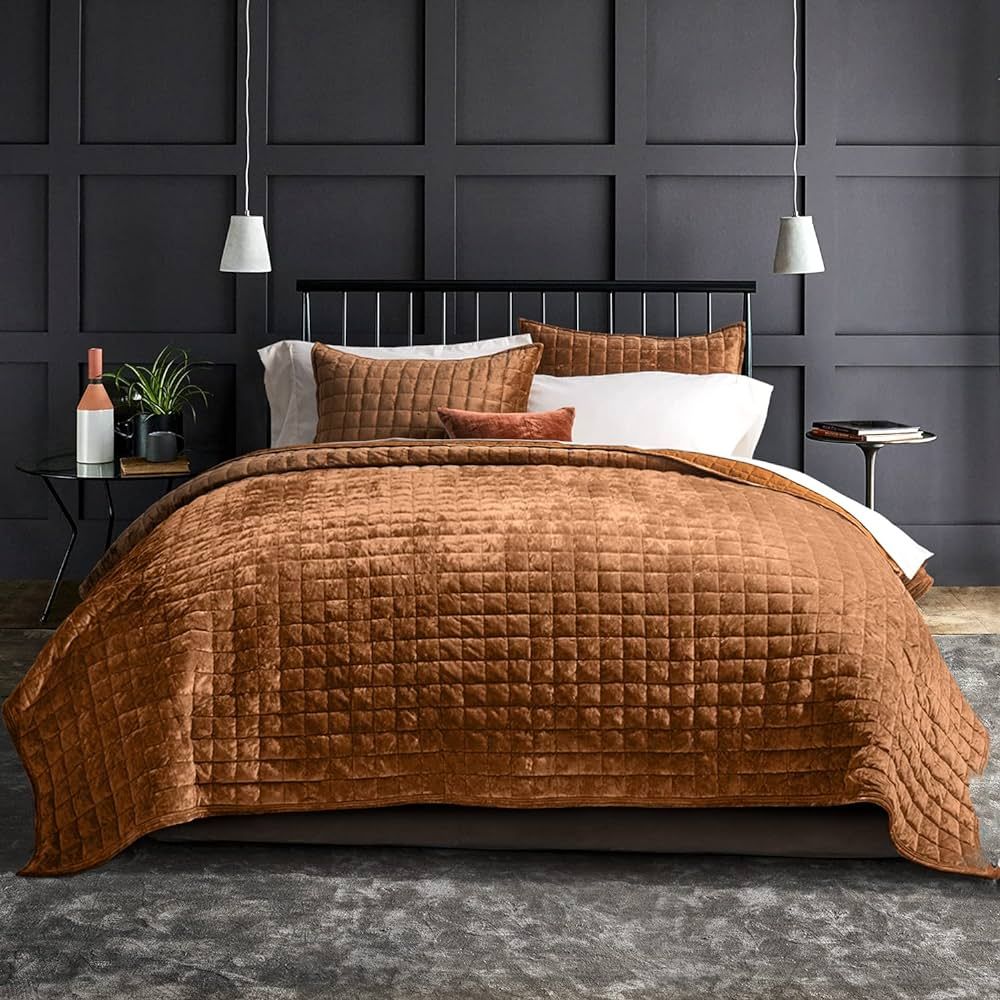 RECYCO Luxury Velvet Quilt Set King Size, Lightweight Velvet Comforter Set, Oversized Bedspread Q... | Amazon (US)