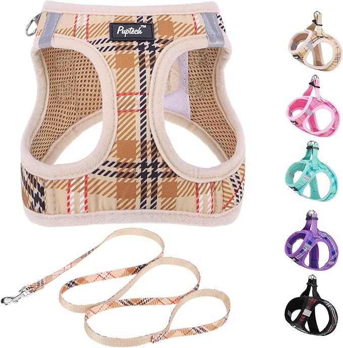 PUPTECK Dog Harness and Leash Set for Small Medium Dogs No Pull Step-in Soft Mesh Puppy Cat Vest ... | Amazon (US)