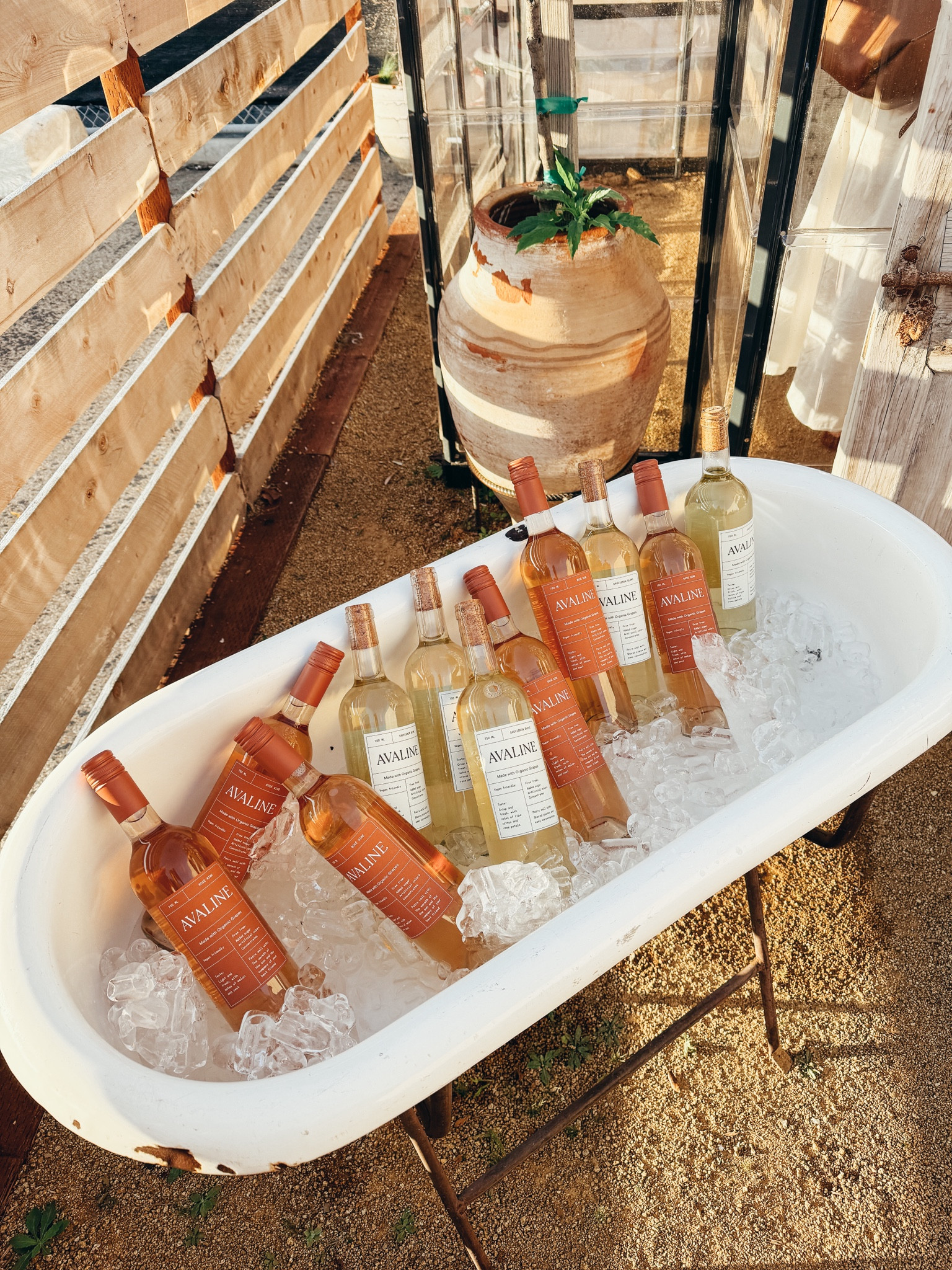 Crisp rosé and white wines for spring

#LTKhome #LTKSeasonal