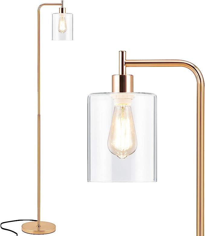 Tall LED Floor Lamp Included Bulb, Acaxin Modern Standing Lamp with Hanging Glass Shade, Gold Far... | Amazon (US)