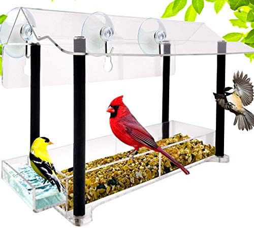 Nature Gear Pure View Hanging Window Bird Feeder - Suspended Design for Crystal Clear Bird Watchi... | Amazon (US)