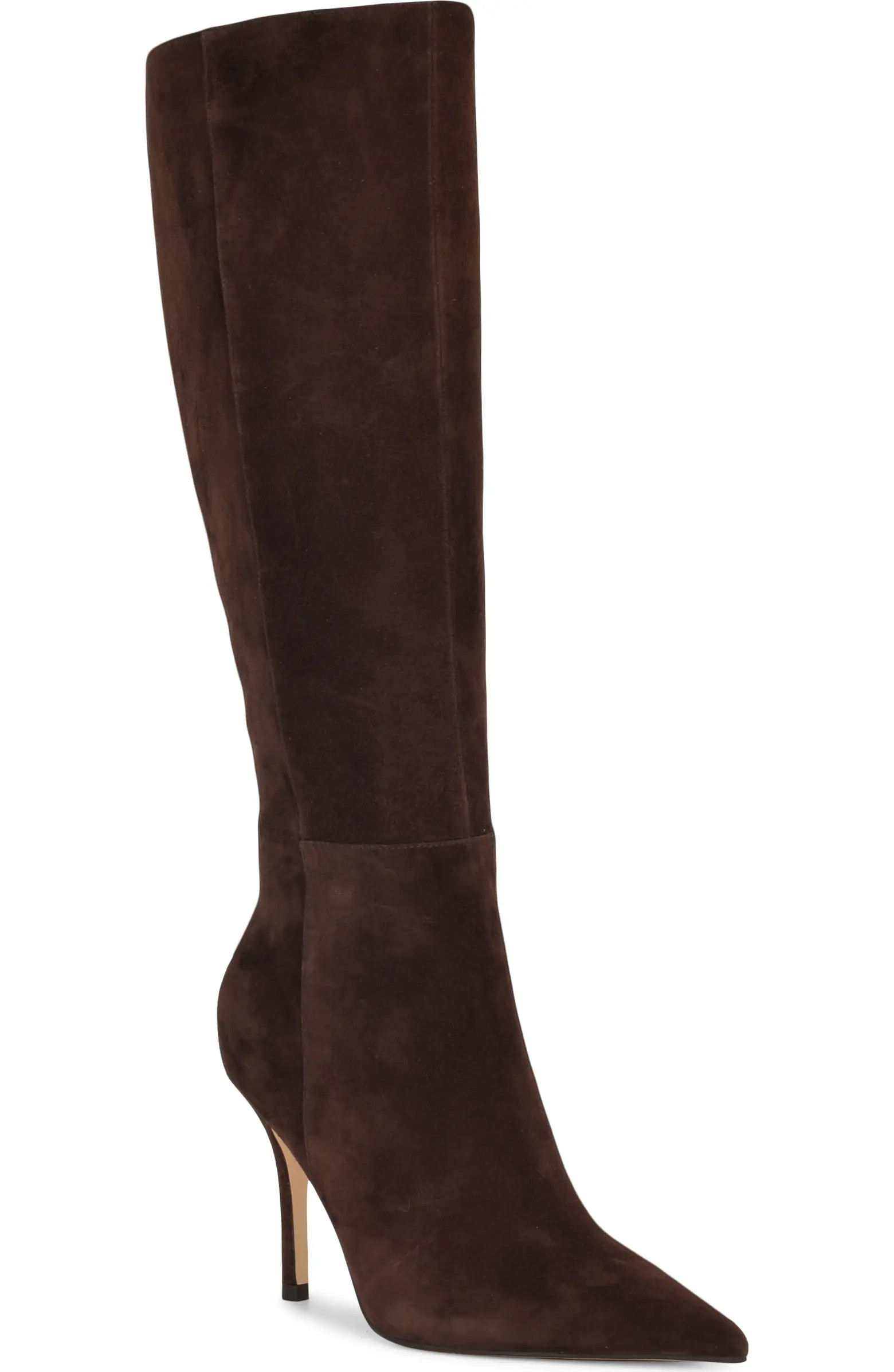 Gerty Pointed Toe Knee High Boot (Women) | Nordstrom
