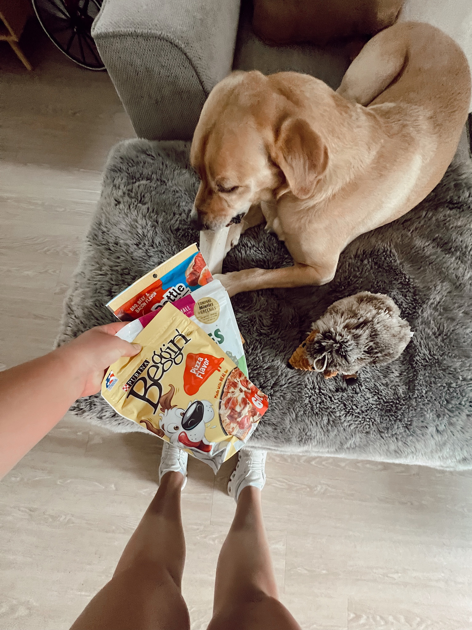 Give your pets some great treats🤍

#LTKstyletip #LTKFind #LTKhome