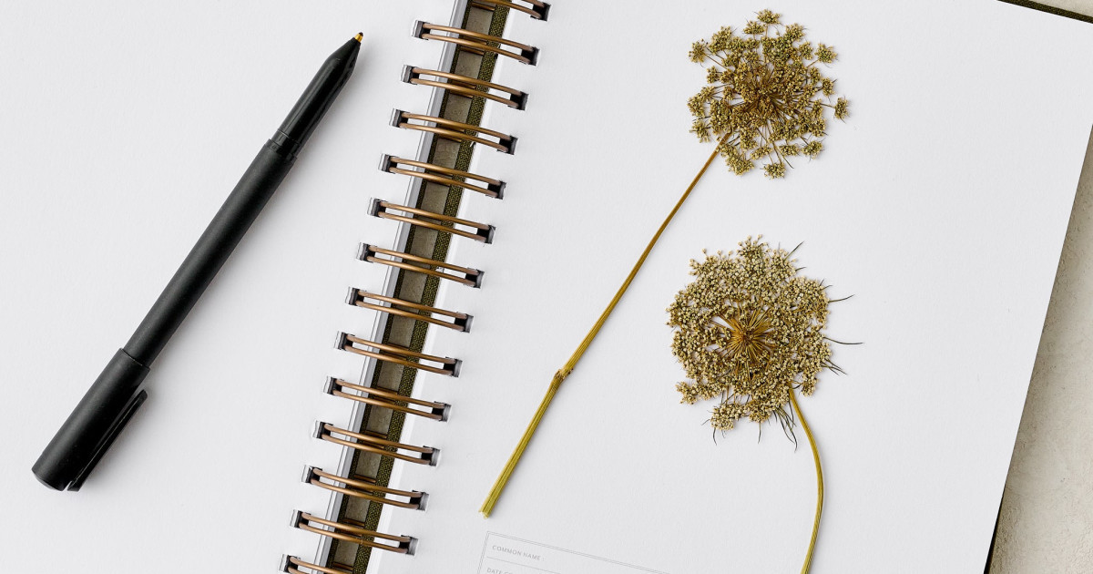 Herbarium Journal | Magnolia