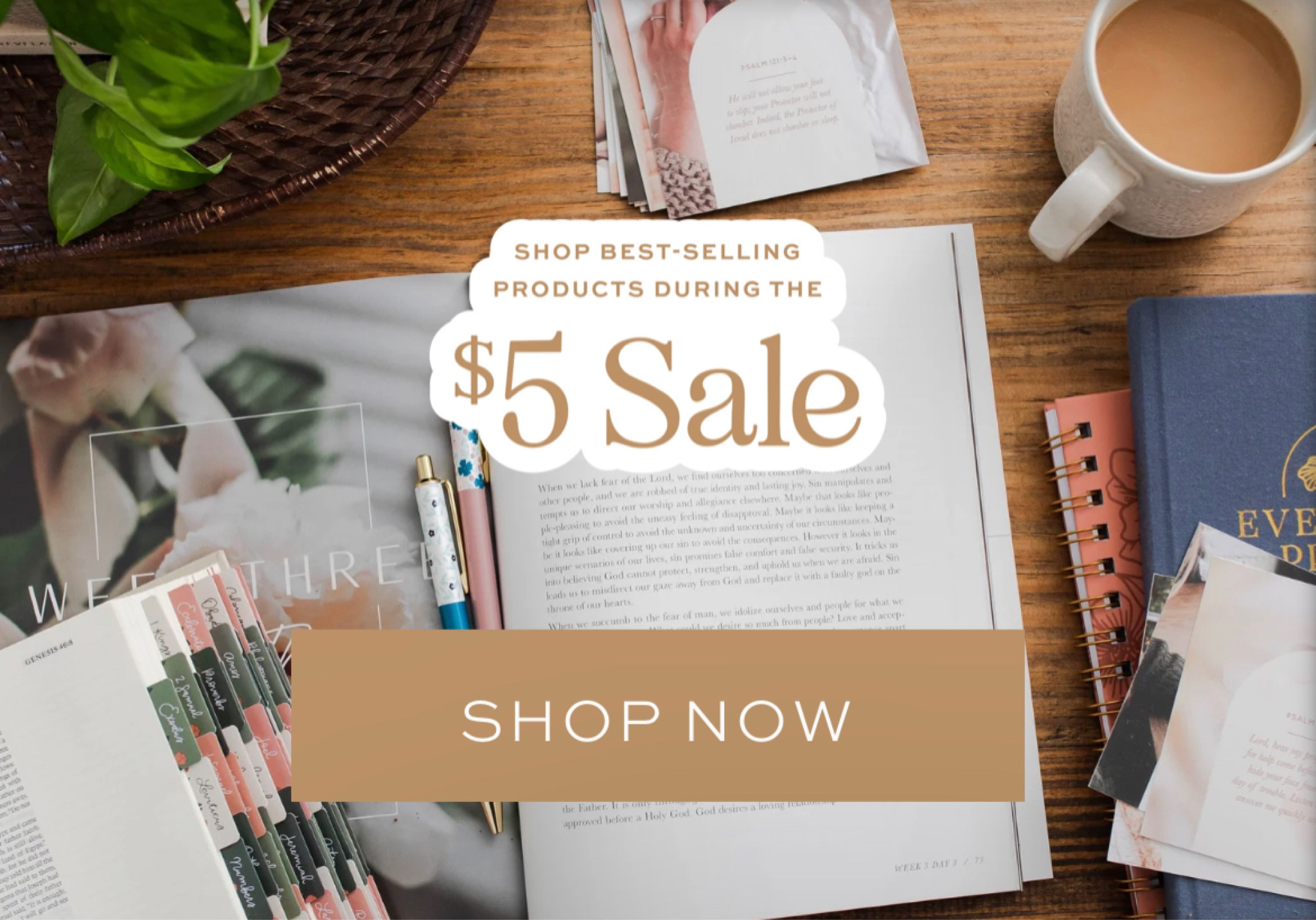 Daily grace co $5 sale!

#LTKsalealert #LTKSale #LTKhome