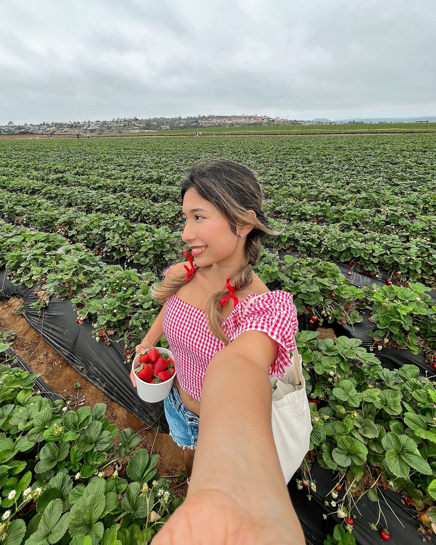Take me to the strawberry fields 🍓✨

#strawberryfields #strawberrypicking #summeroutfits #summeroutfitideas #pinterestgirl #pinterestinspired #pinterestaesthetic #summerinspo #ginghamtop #popsofred, #bowseason #ginghamstyle strawberry picking, summer outfits #summer outfit ideas, pops of read, bow, ribbons, gingham top, blue denim shorts, casual style, soft girl style, vanilla girl