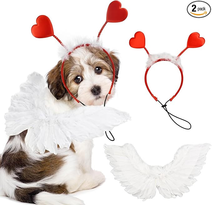 Dog Sweeat Heart Headband Valentin's Day Costume Set with White Feather Wing Heart Headband Love-... | Amazon (US)