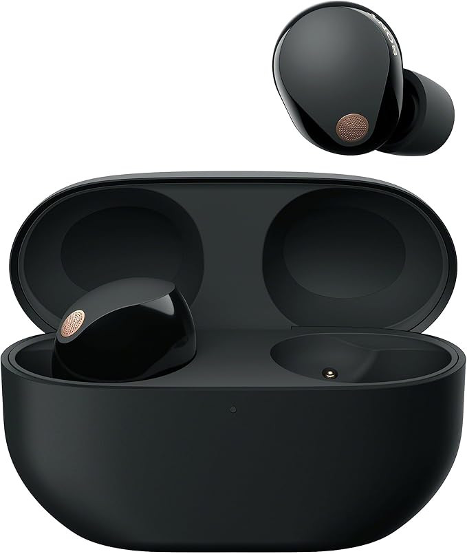 Sony WF-1000XM5 Kabellose Noise Cancelling Kopfhörer, Bluetooth, In-Ear-Kopfhörer, Mikrofon, bi... | Amazon (DE)