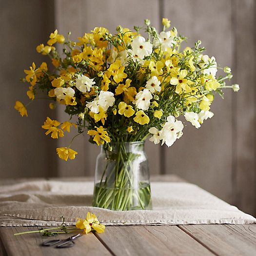 Fresh Yellow Butterfly Ranunculus Bunch | Terrain