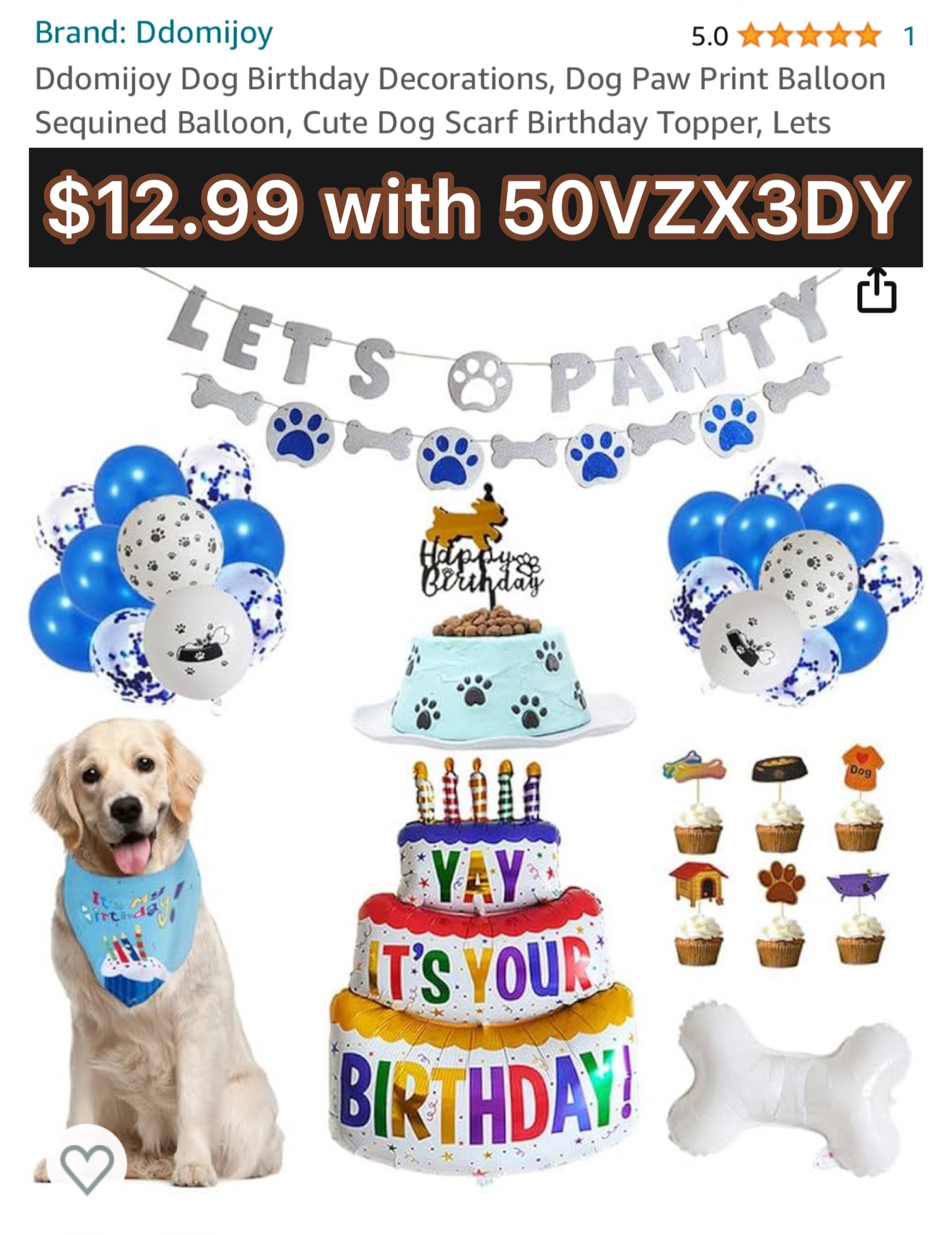 Dog birthday outlet accessories