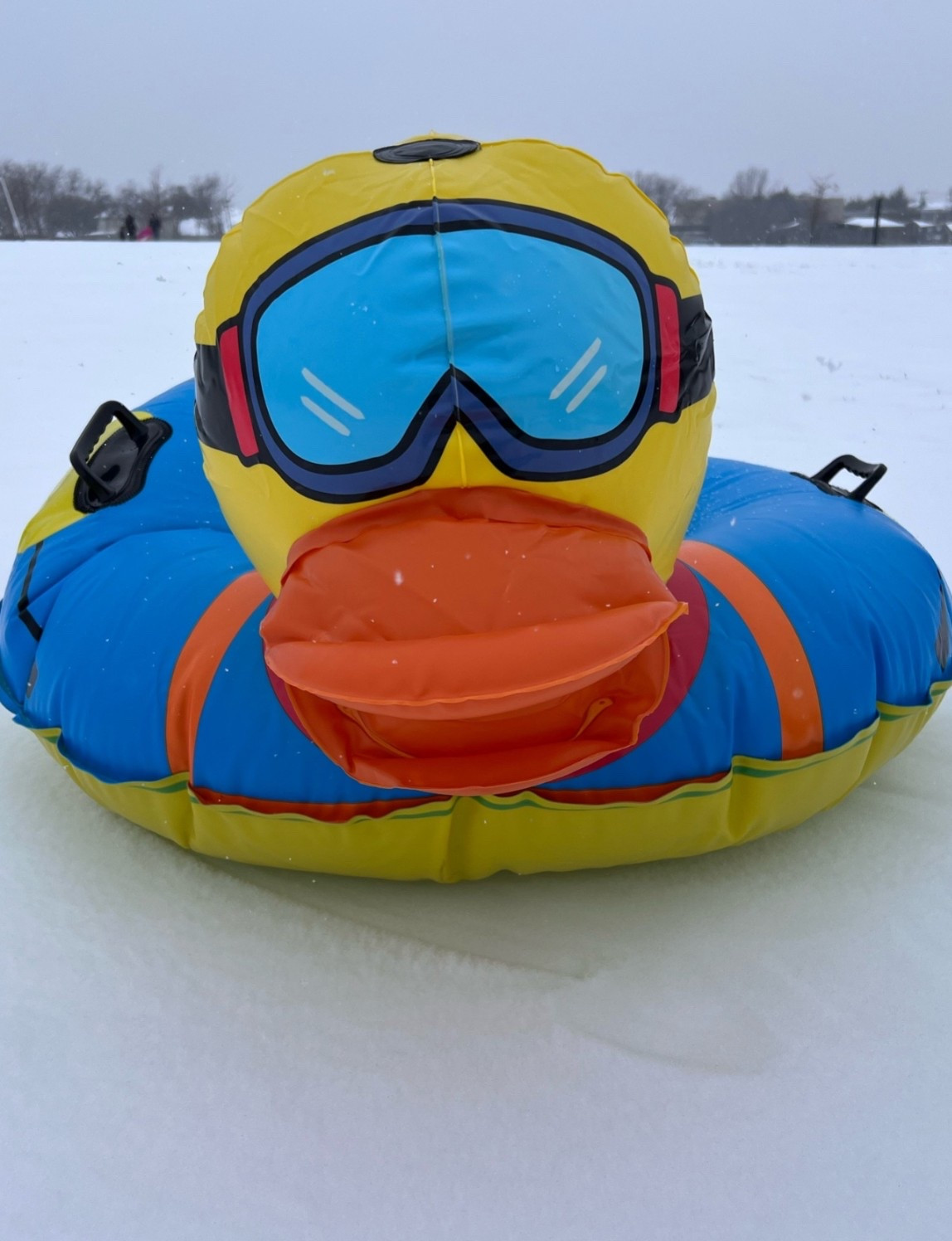 Snow Duck ❄️

The best way to play in the snow!! Get the 47” & overnight it just in time! 

#funfinds #founditonamazon 

#LTKKids #LTKTravel #LTKFindsUnder100