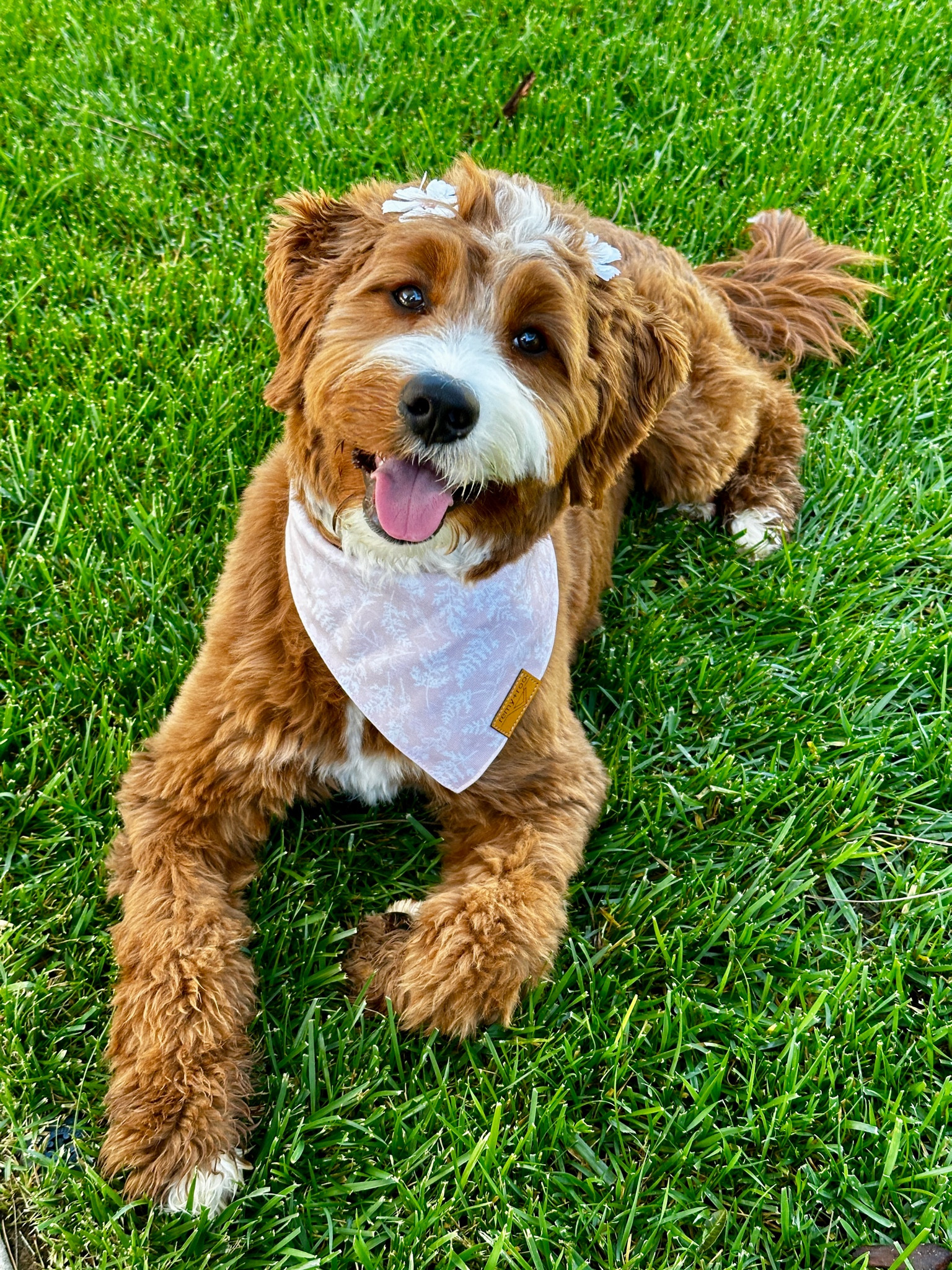 Ellie is loving her Spring outfit! 🌸😍

#LTKfamily #LTKSeasonal #LTKhome