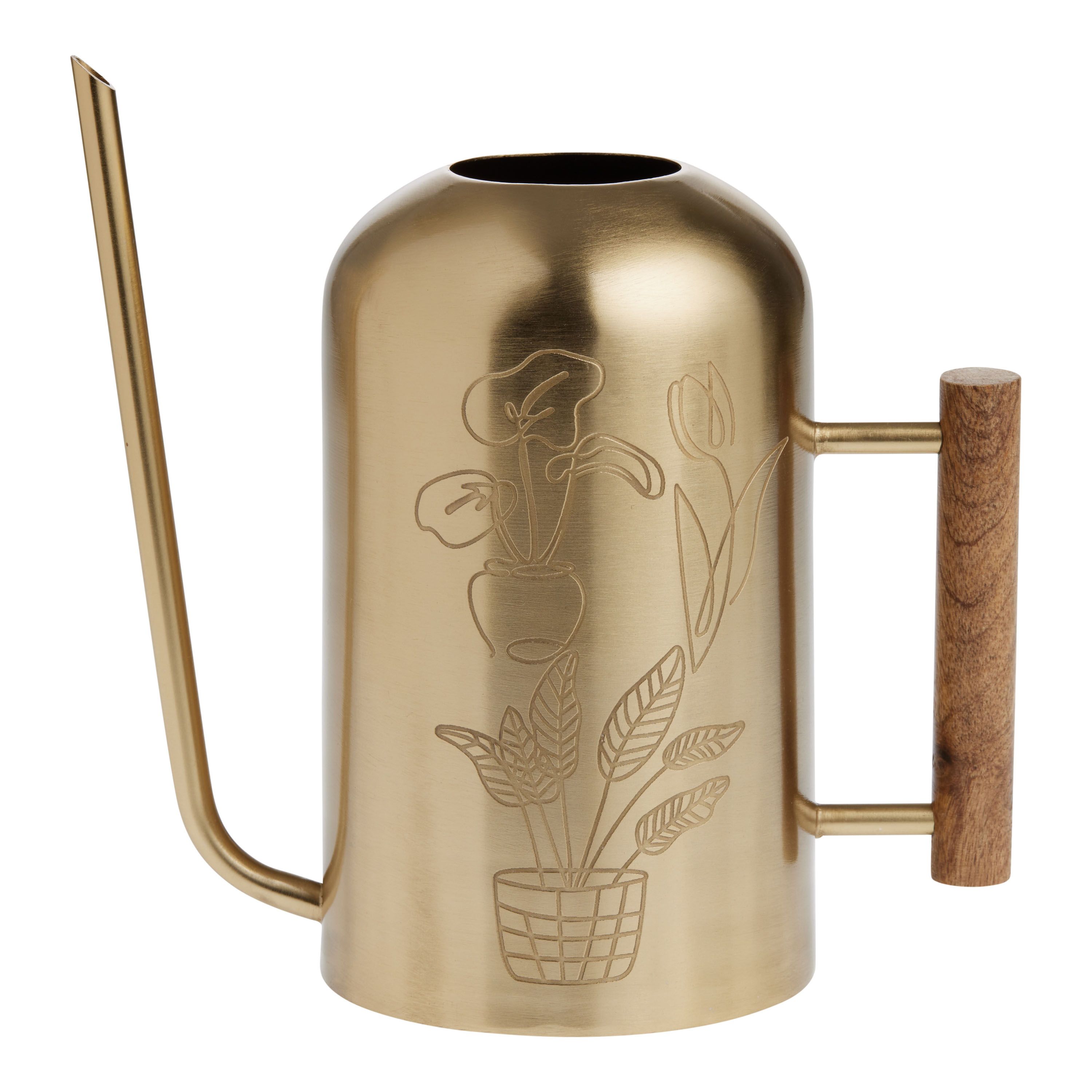 Gold Iron and Wood Etched Gooseneck Watering Can | World Market