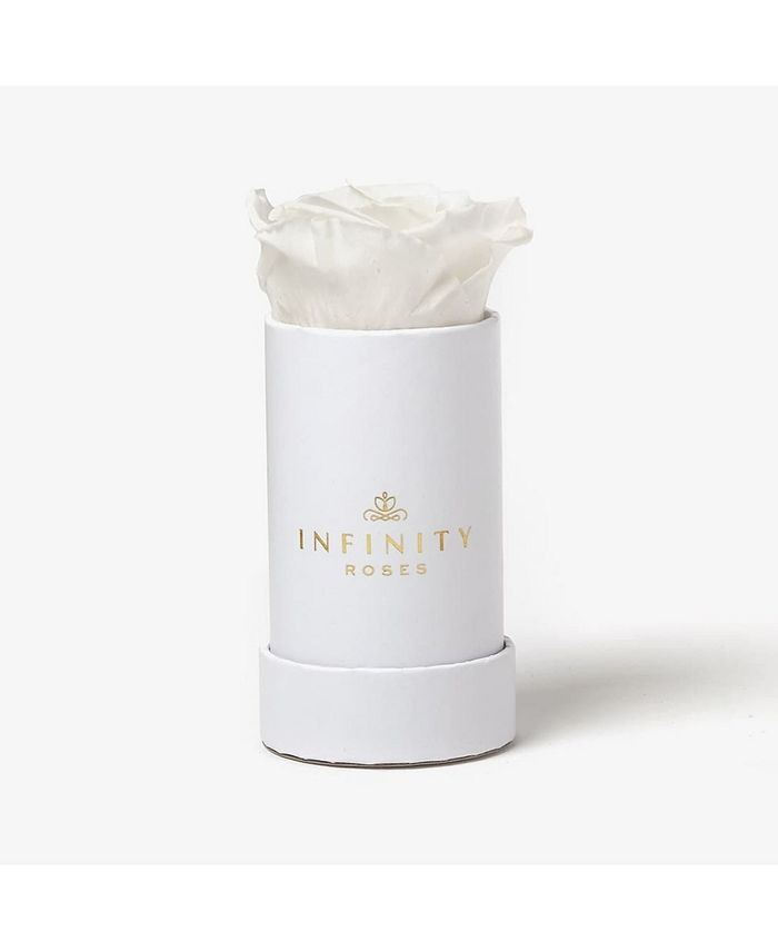 Infinity Roses Single White Real Rose Preserved To Last Over A Year & Reviews - All Live Plants -... | Macys (US)