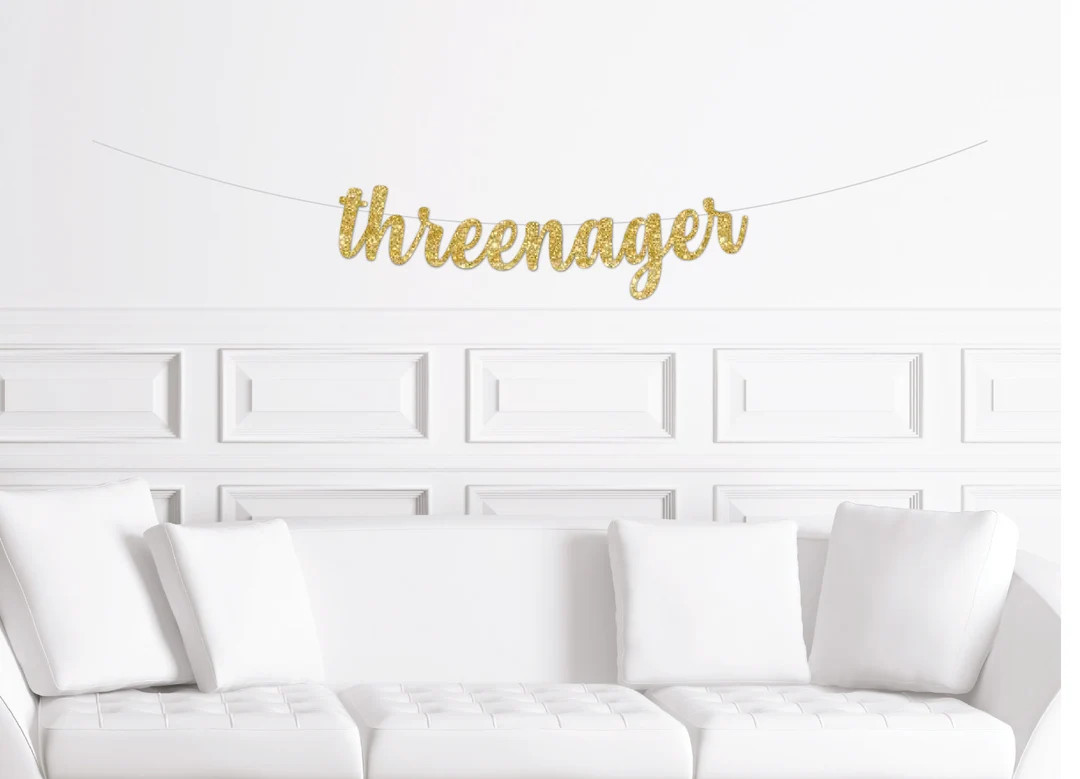 Threenager Banner, Funny 3rd Birthday Decorations, Sassy Third Birthday Decor, Three Nager | Etsy (US)