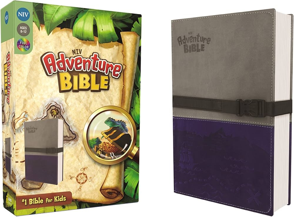 NIV, Adventure Bible, Leathersoft, Gray/Blue, Full Color | Amazon (US)