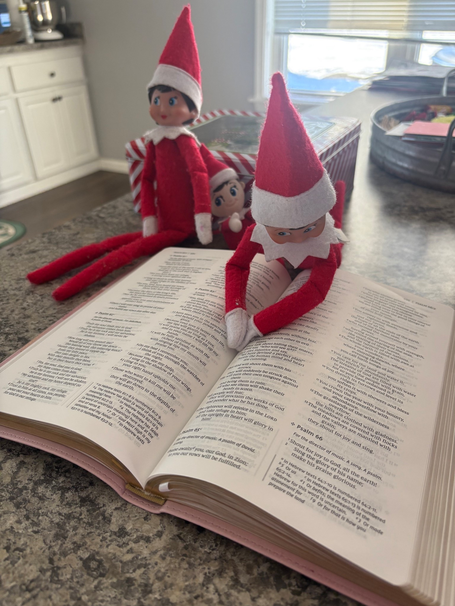 Elves in the word! 

#LTKdayinmylife #LTKFindsUnder50 #LTKHoliday