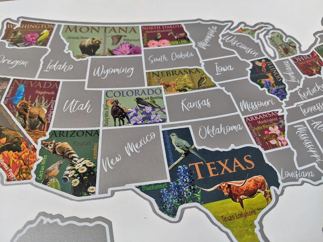 USA scratch off bucket list map; United States symbols; Education travel scratch off poster; Kids... | Etsy (US)