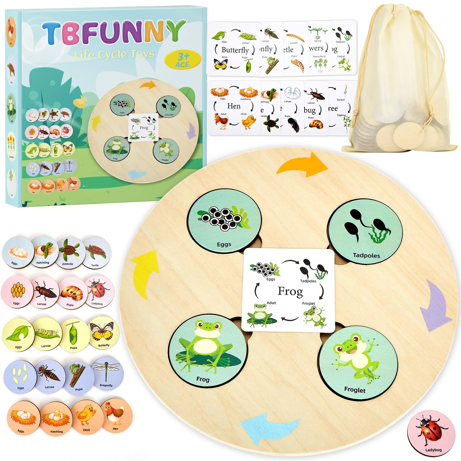 Life Cycle Toys for Kids Educational Science Kits, Montessori Toys for 3 4 5 6+ Years Old, Presch... | Amazon (US)