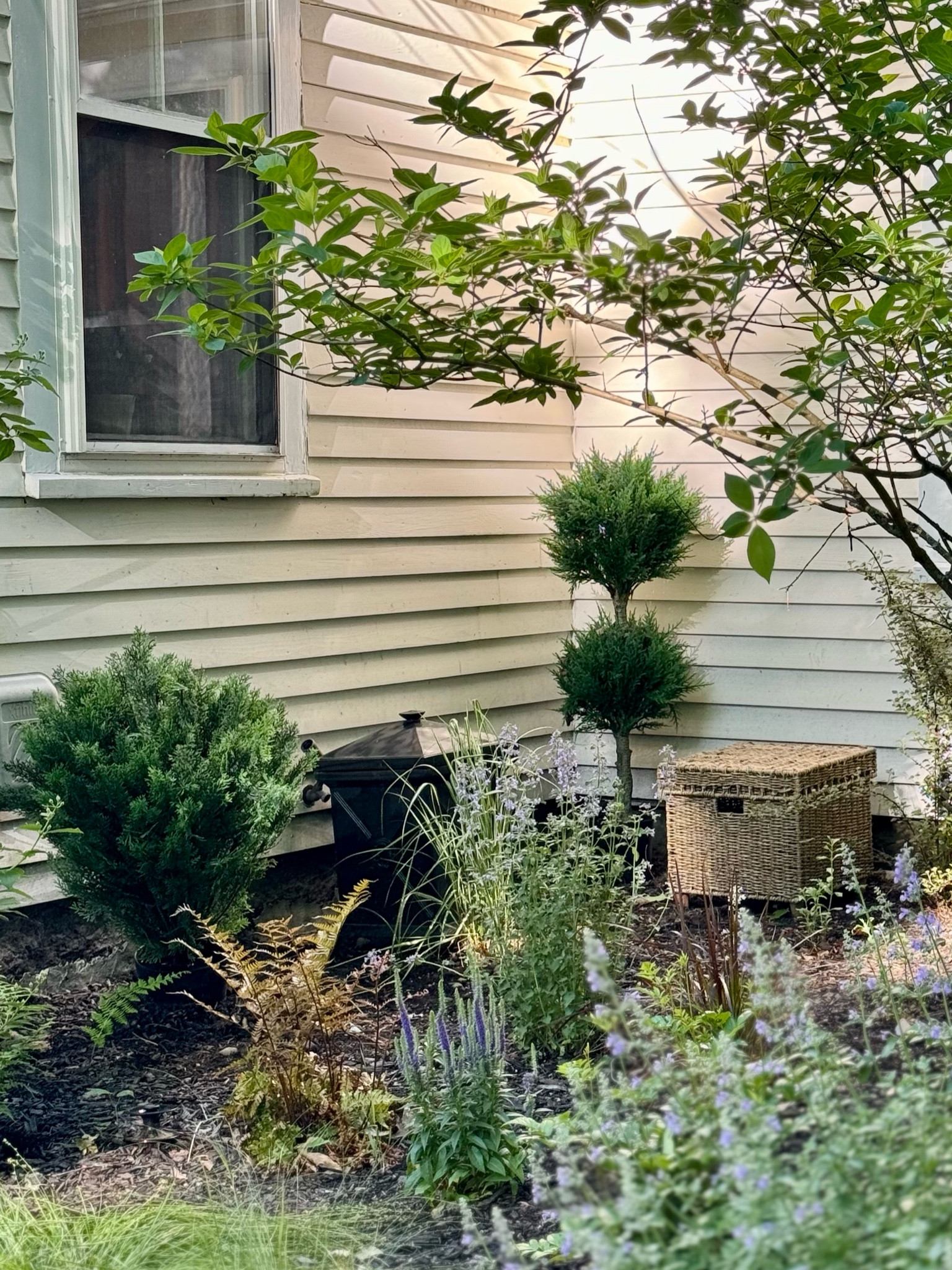 As things grow in, and accounting for our old foundation extending a couple feet past the house (which means nothing can be planted), I’m using some artificial outdoor plants & trees from Nearly Natural. The quality is so good! I have a few more to add in the mix, and hope to do something even taller in the corner. On sale right now! 

Landscaping, outdoor home decor, garden decor, topiary 

#LTKHome #LTKSaleAlert #LTKSeasonal