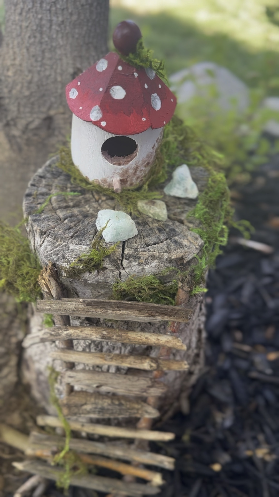 Summer craft for kids - mini fairy garden birdhousee

#LTKKids #LTKSeasonal #LTKFamily