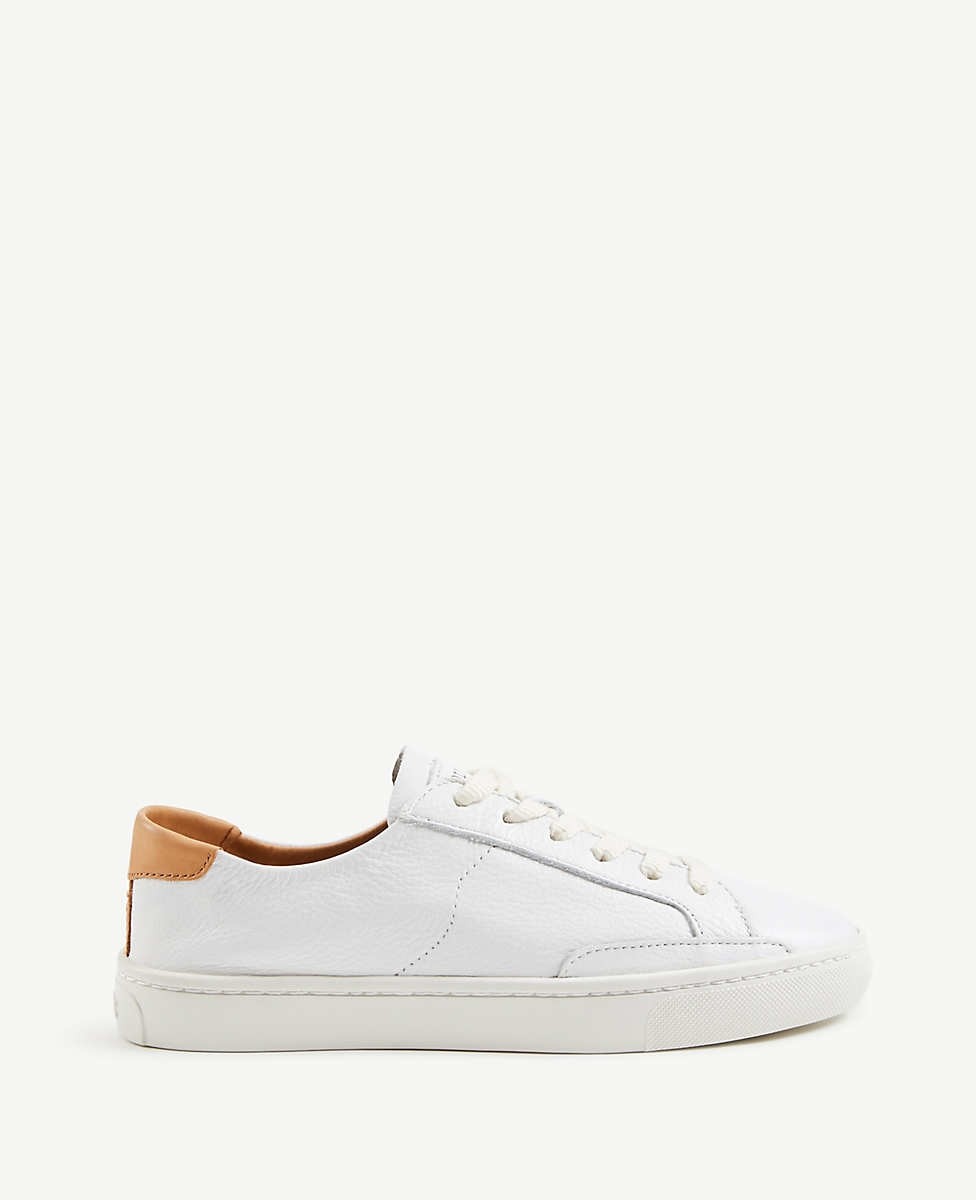 Soludos Ibiza Classic Sneakers | Ann Taylor | Ann Taylor (US)