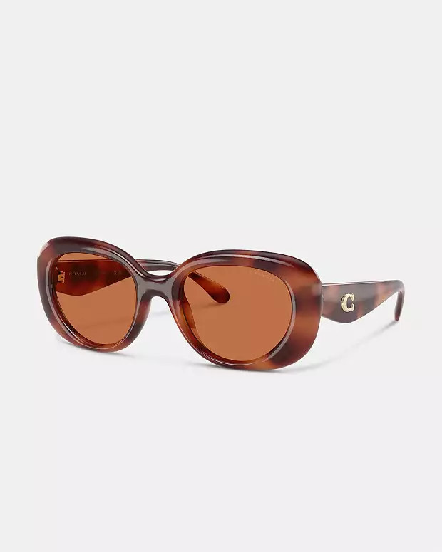 C Hardware Round Sunglasses | Coach (US)