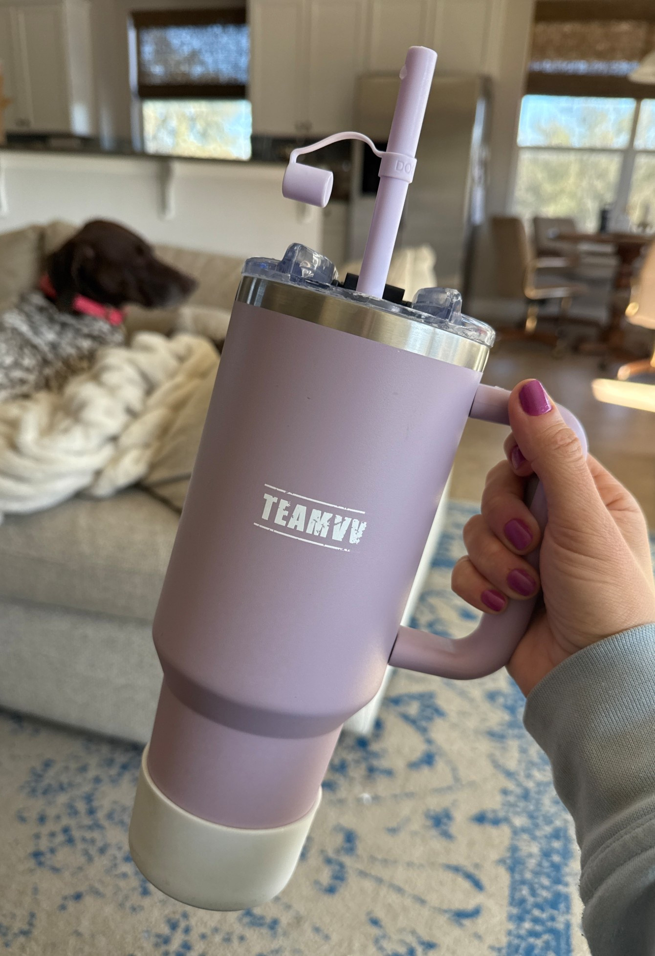 My Stanley-dupe I’ve been using for years! I switched out the metal straw for this silicone straw with a cap so my kids are safe when they carry it around and drink from it #momlife I love the silicone boot the water bottle comes with so it is anti-slip and still fits in my car cupholder and stroller. Remi is lounging on her fave Lola blanket in the background 😅

Hydration in 2026 #resolutions, drink water, hydrate, mom cup, running errands.

#LTKfitnessgoals #LTKmorningroutine #LTKActive